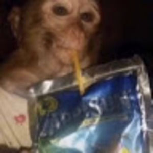 Meet your Posher, Bri